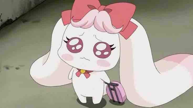 ゆあ / 韓国コスメおたく / フォロバ