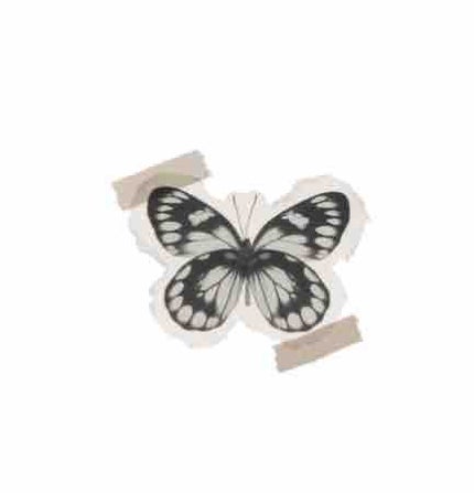 ゆき❄️フォロバ100%