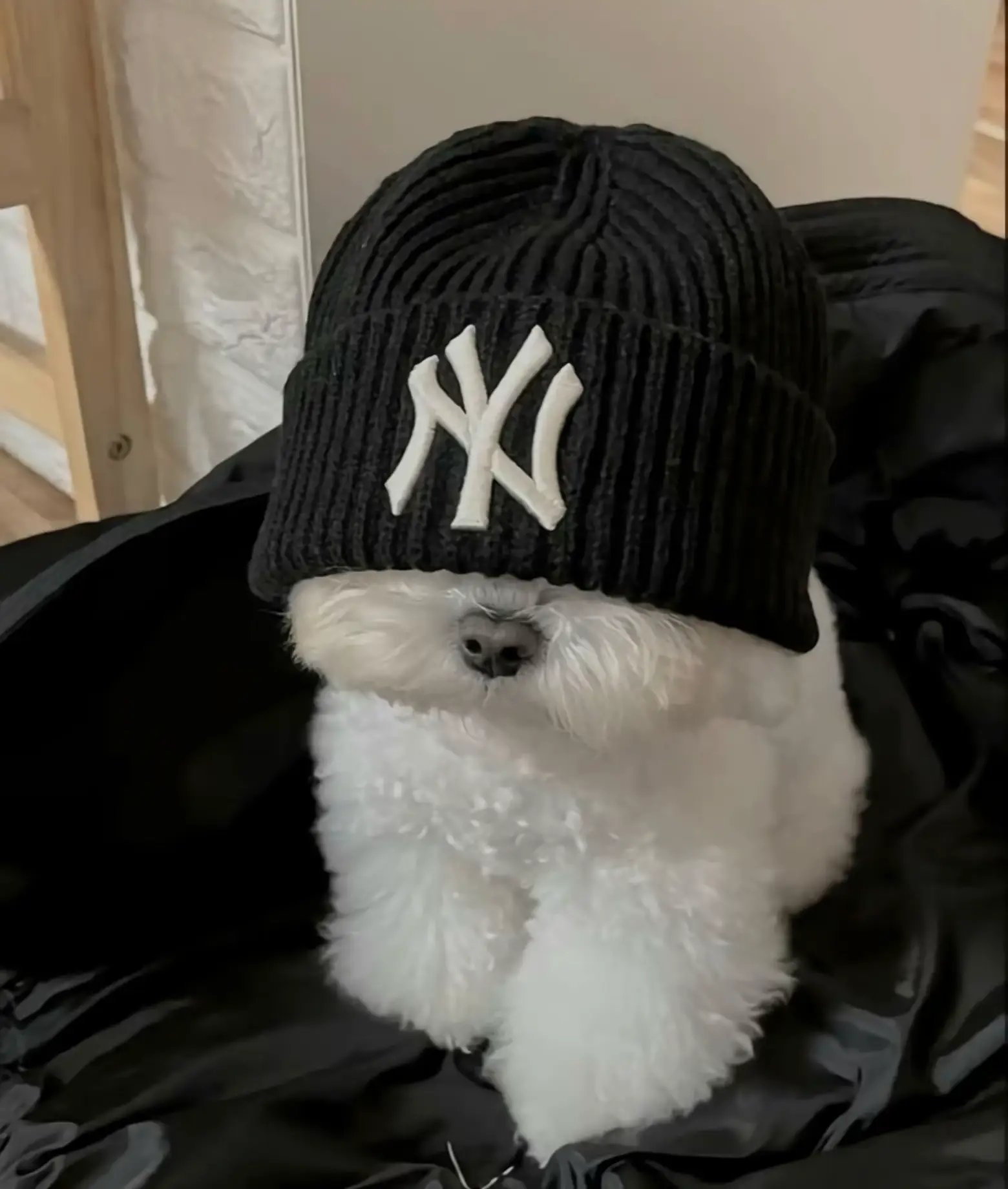 好きな人のために生まれ変わります