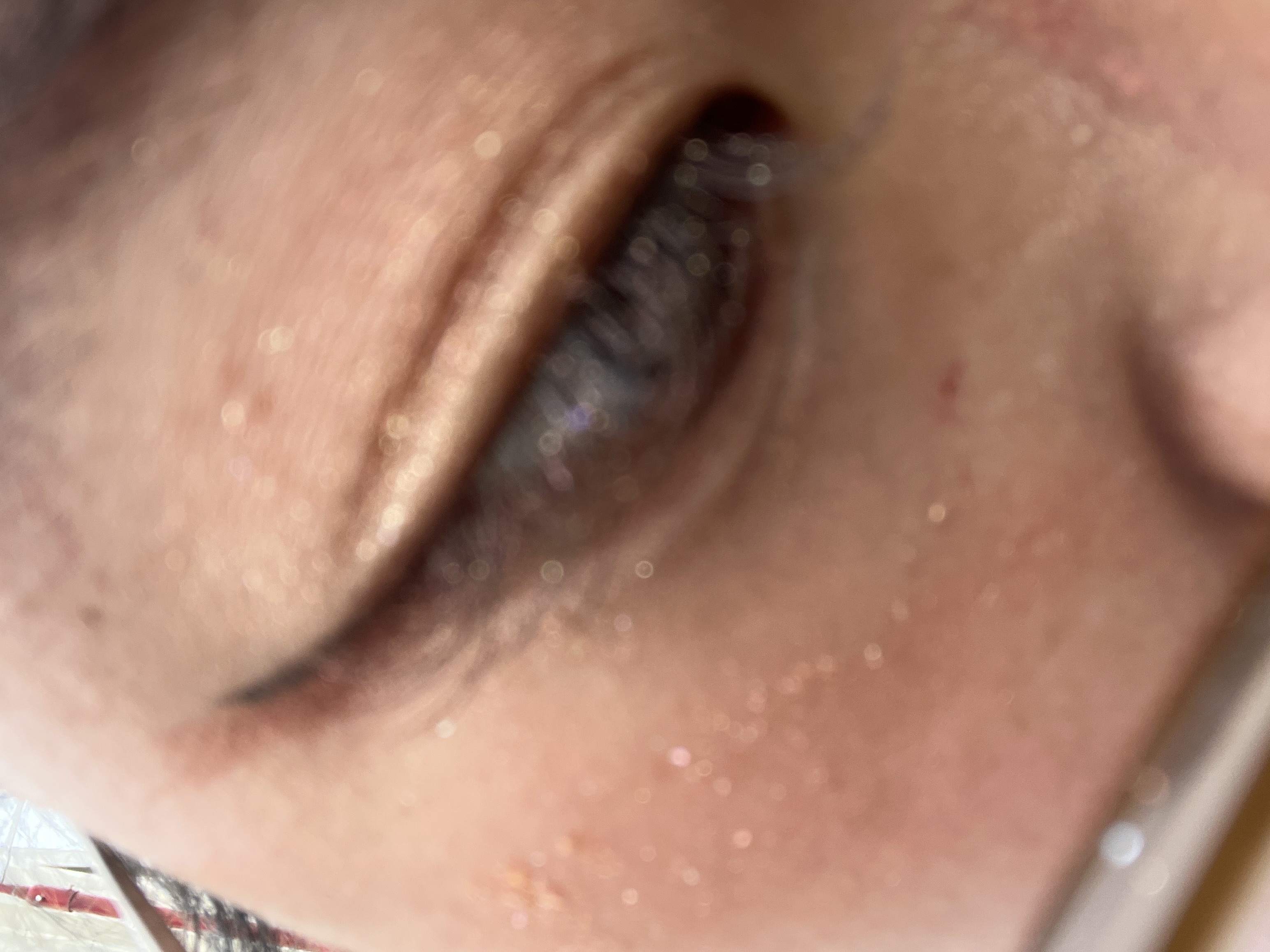 コスパ最強 神楽  