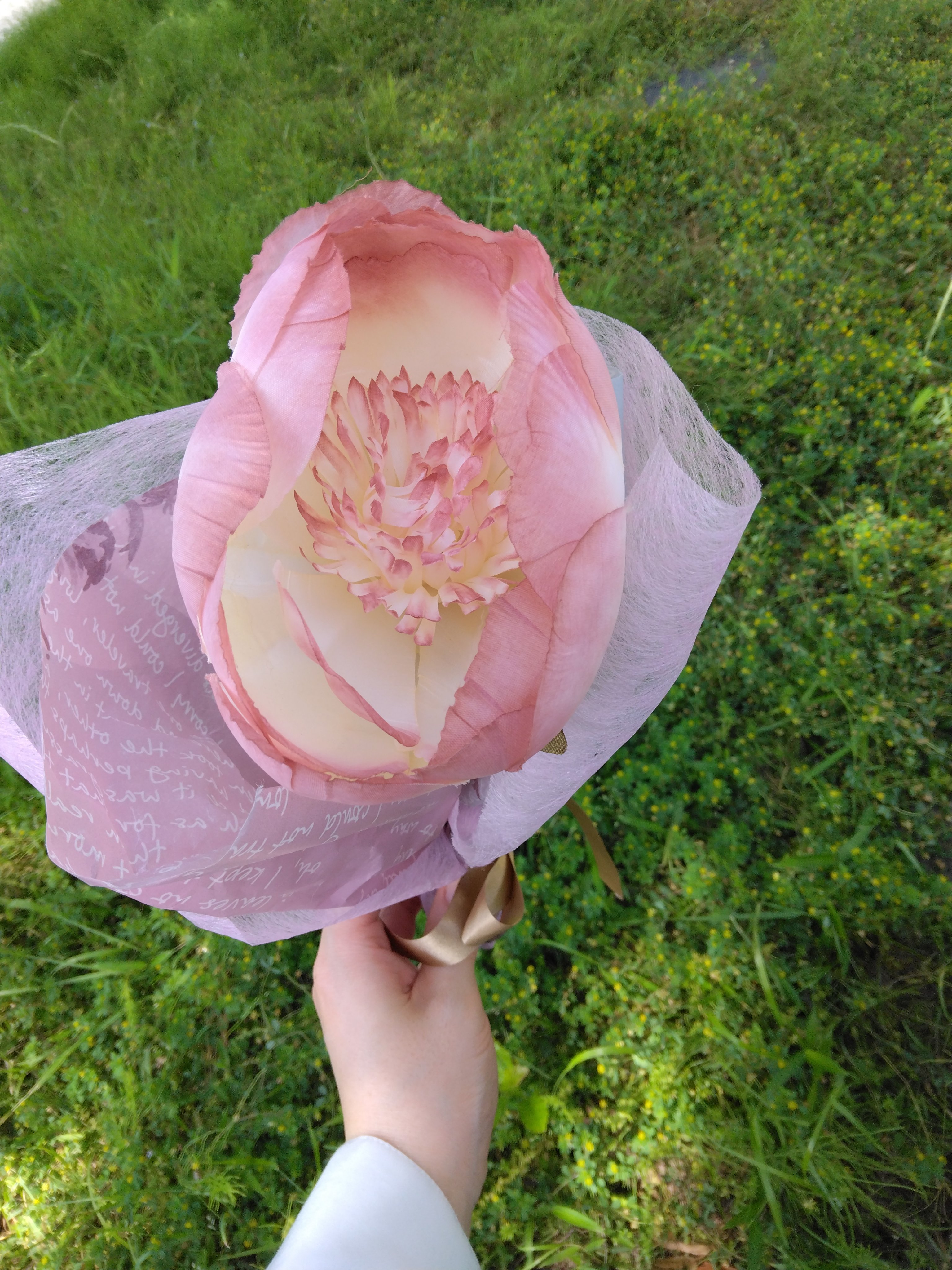 えむ（mamicosmex）