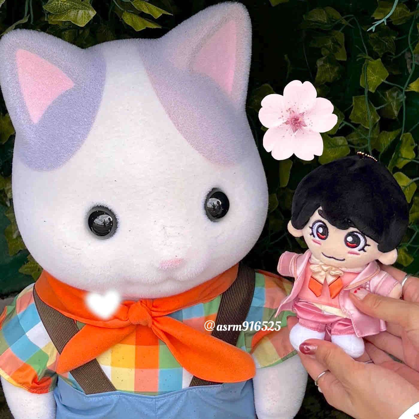 さくら🌸フォロバ100