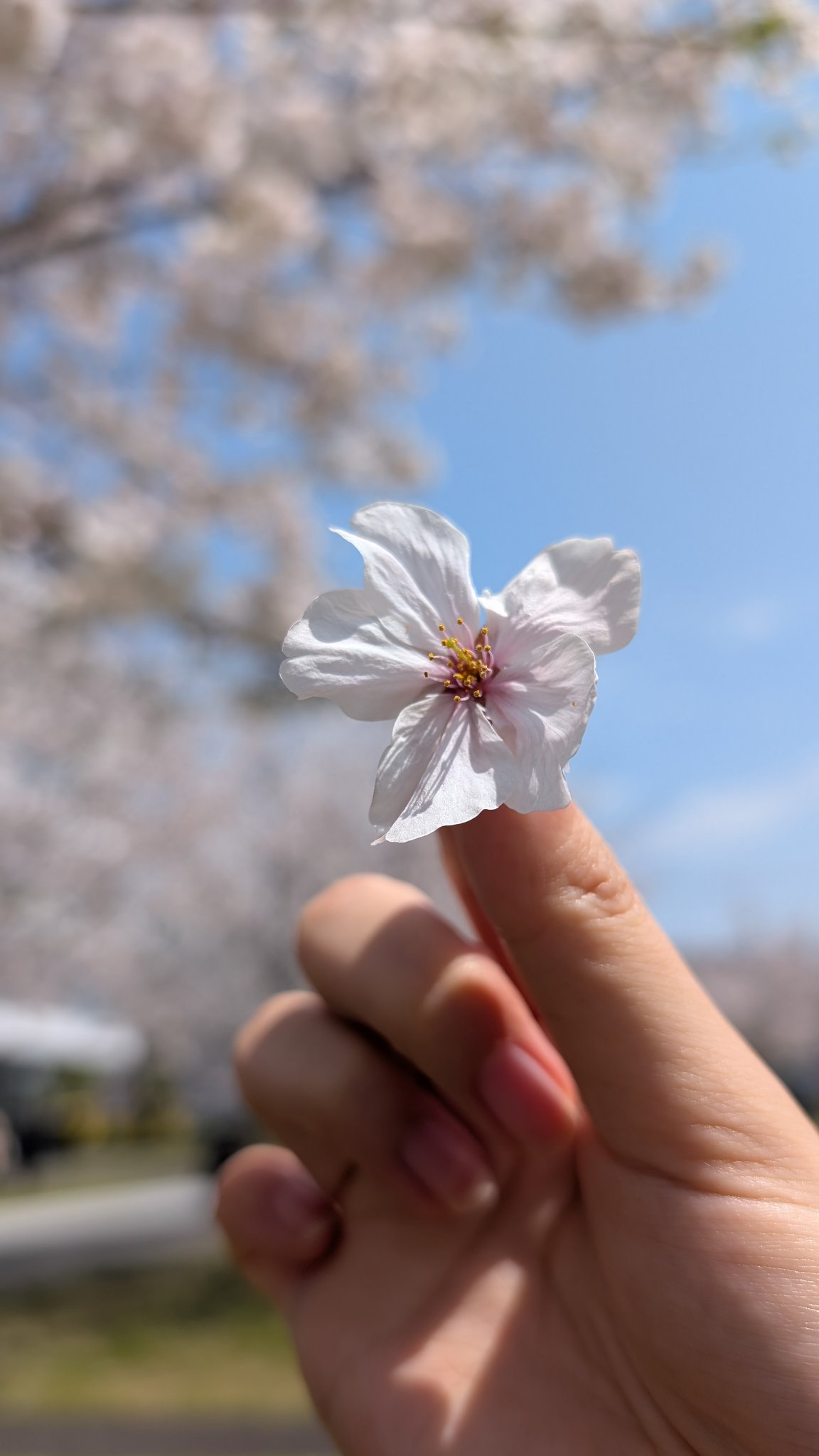 たま@フォロバ100