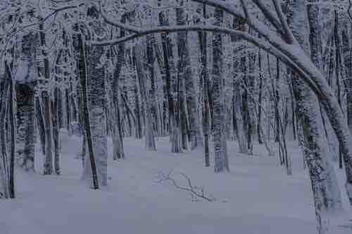 ロックロックマン