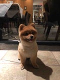 hana
