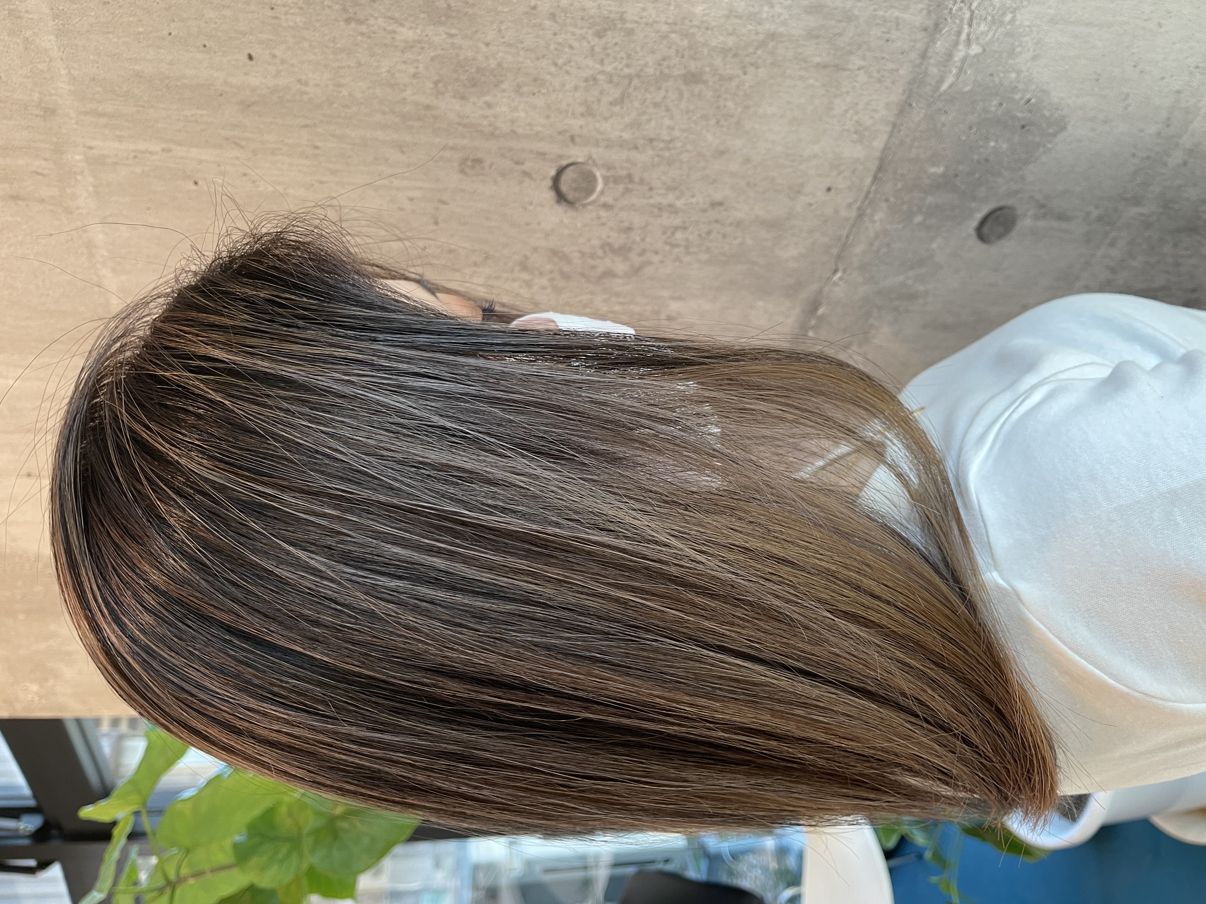 ℳ𝒾𝒾🕊️𓂃𓈒𓏸︎︎︎︎