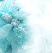 かわいくなるぞ(* ｰ̀ ֊ ｰ́ )و✧