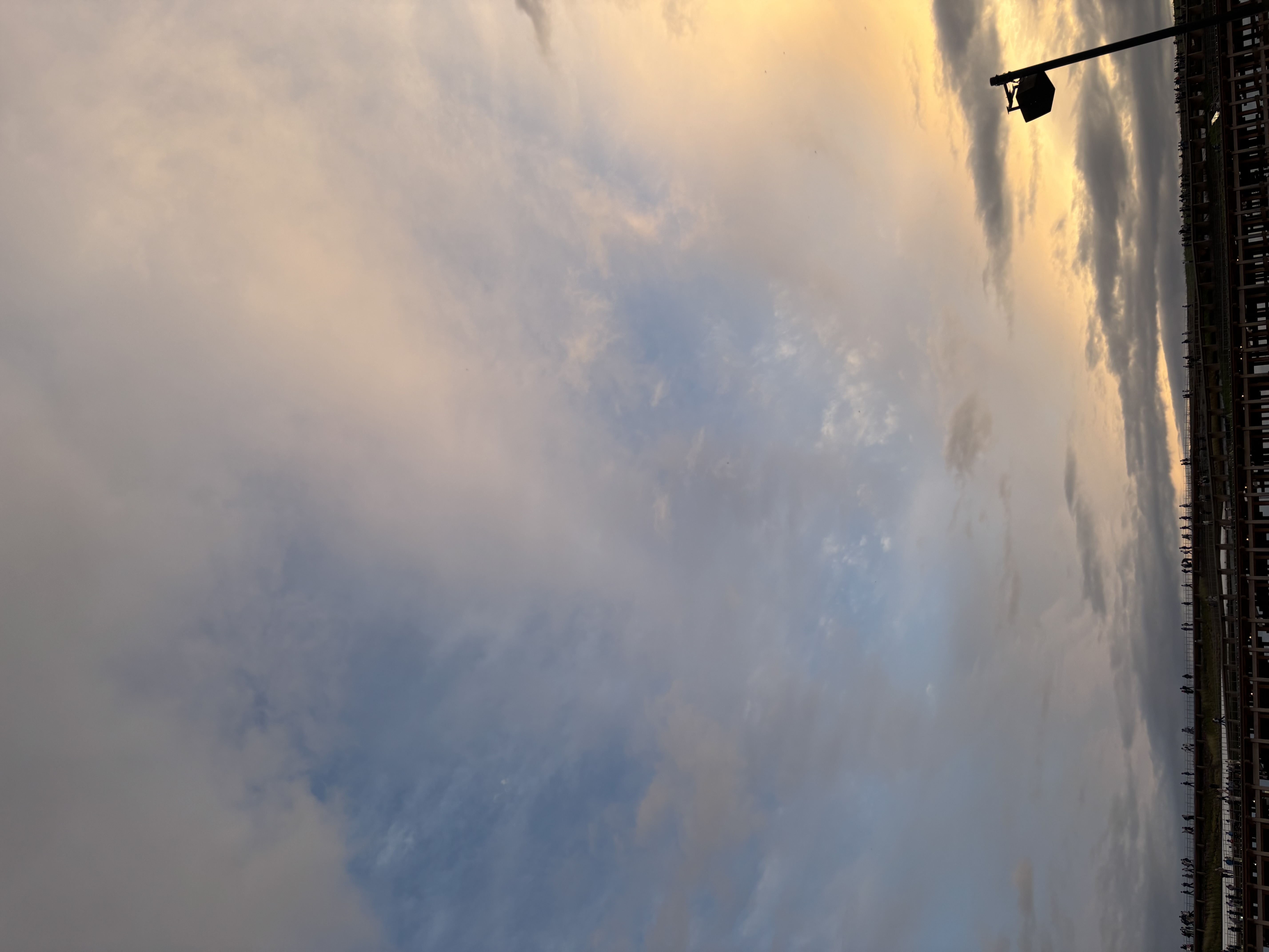 あまね フォロバ100 🐈⸒⸒⸒⸒