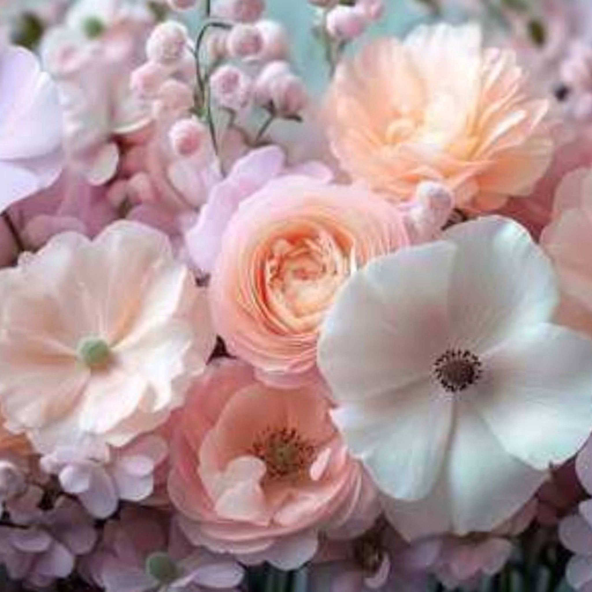  nao フォロパ100💕