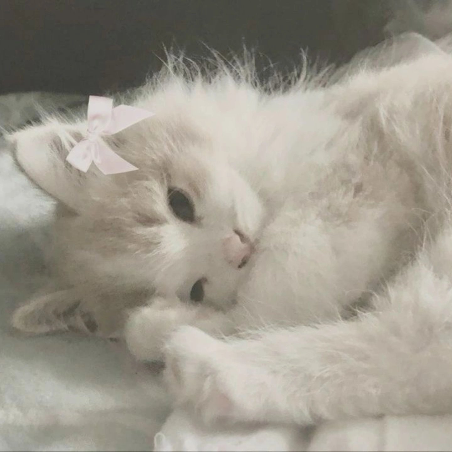 s ʏ ᴏ ᴜ @ ﾌｫﾛﾊﾞ100 