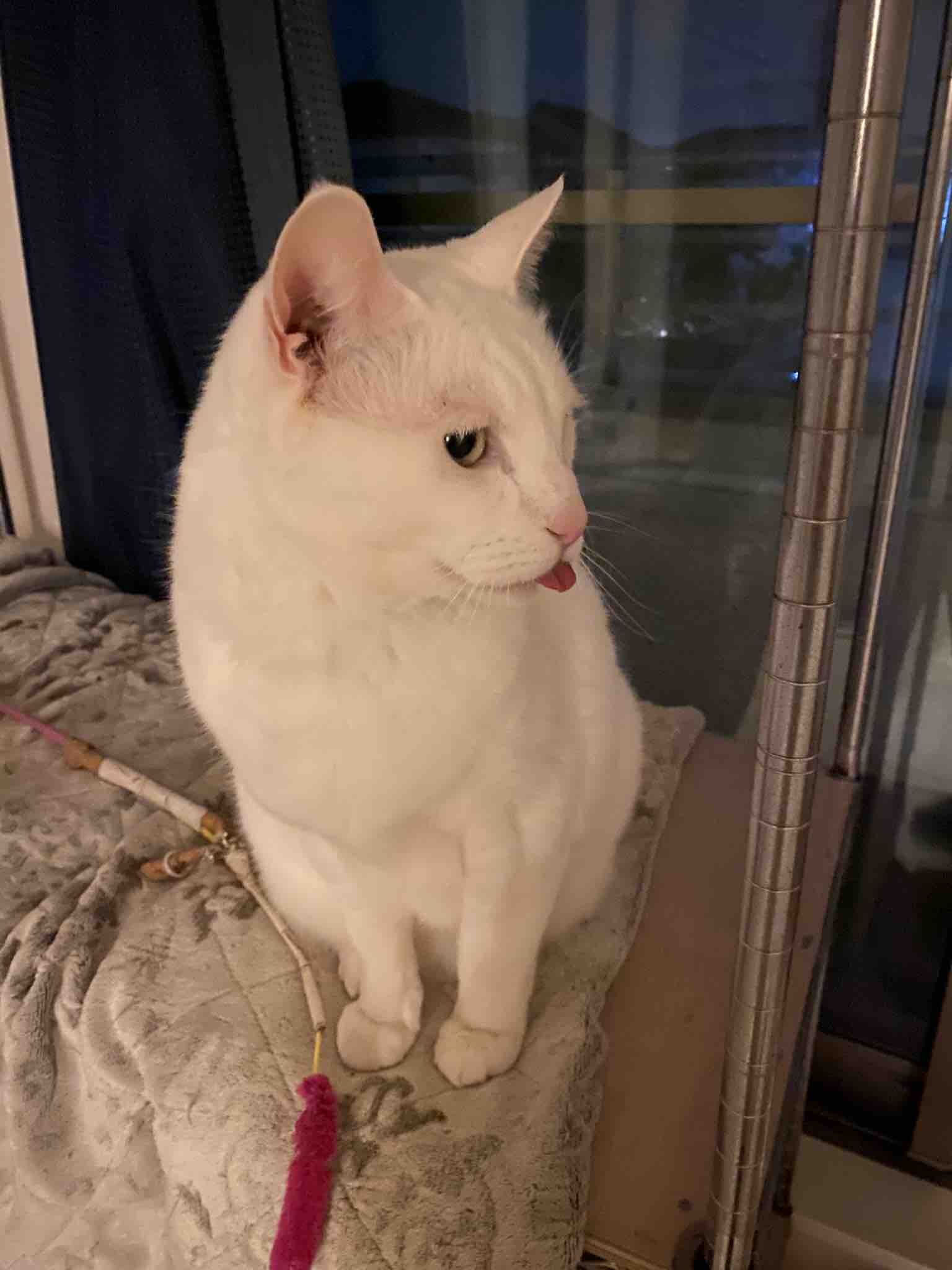 夜宵_フォロバ100