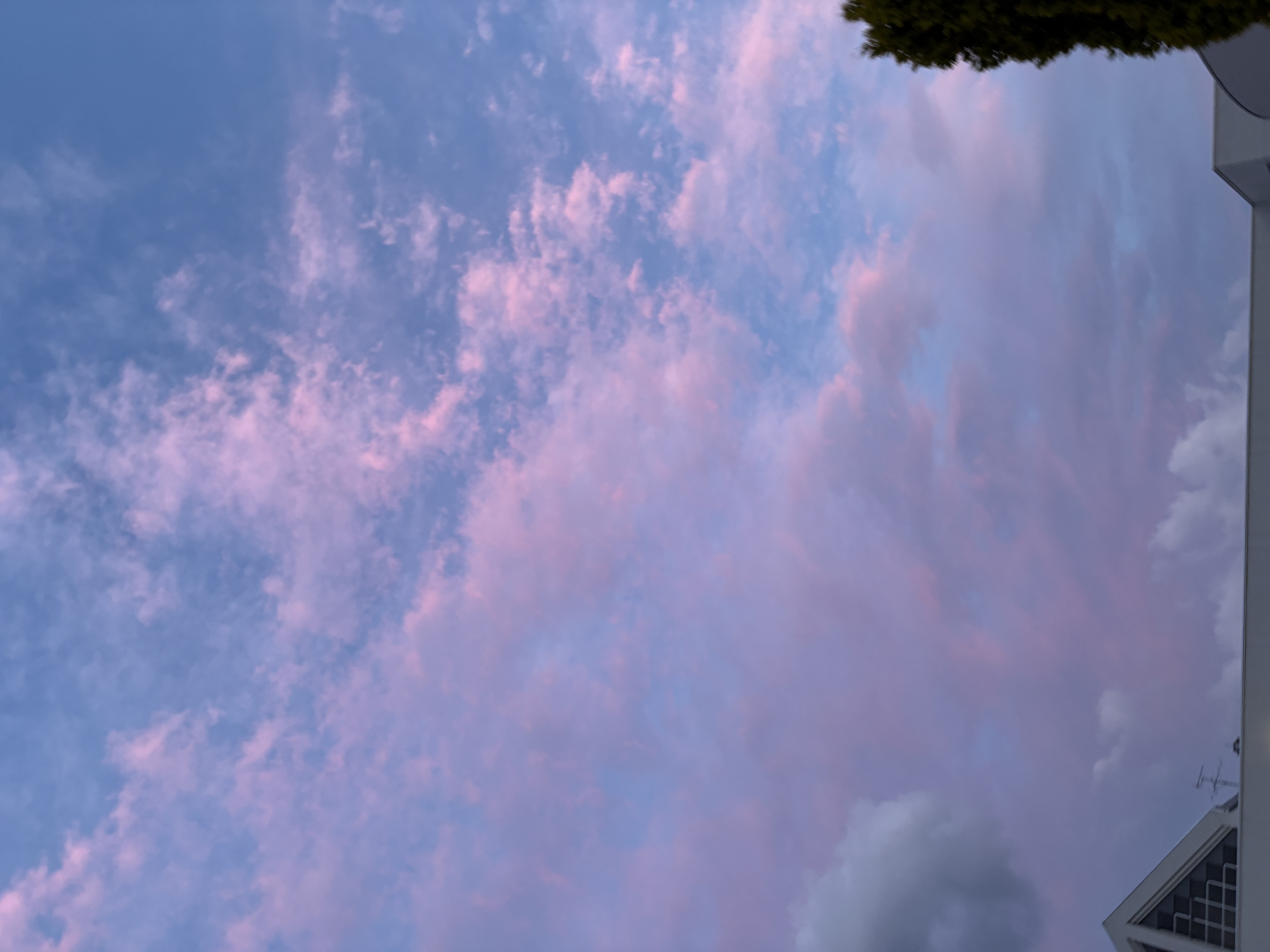 めるにゃ。ᗜ ʌ ᗜ