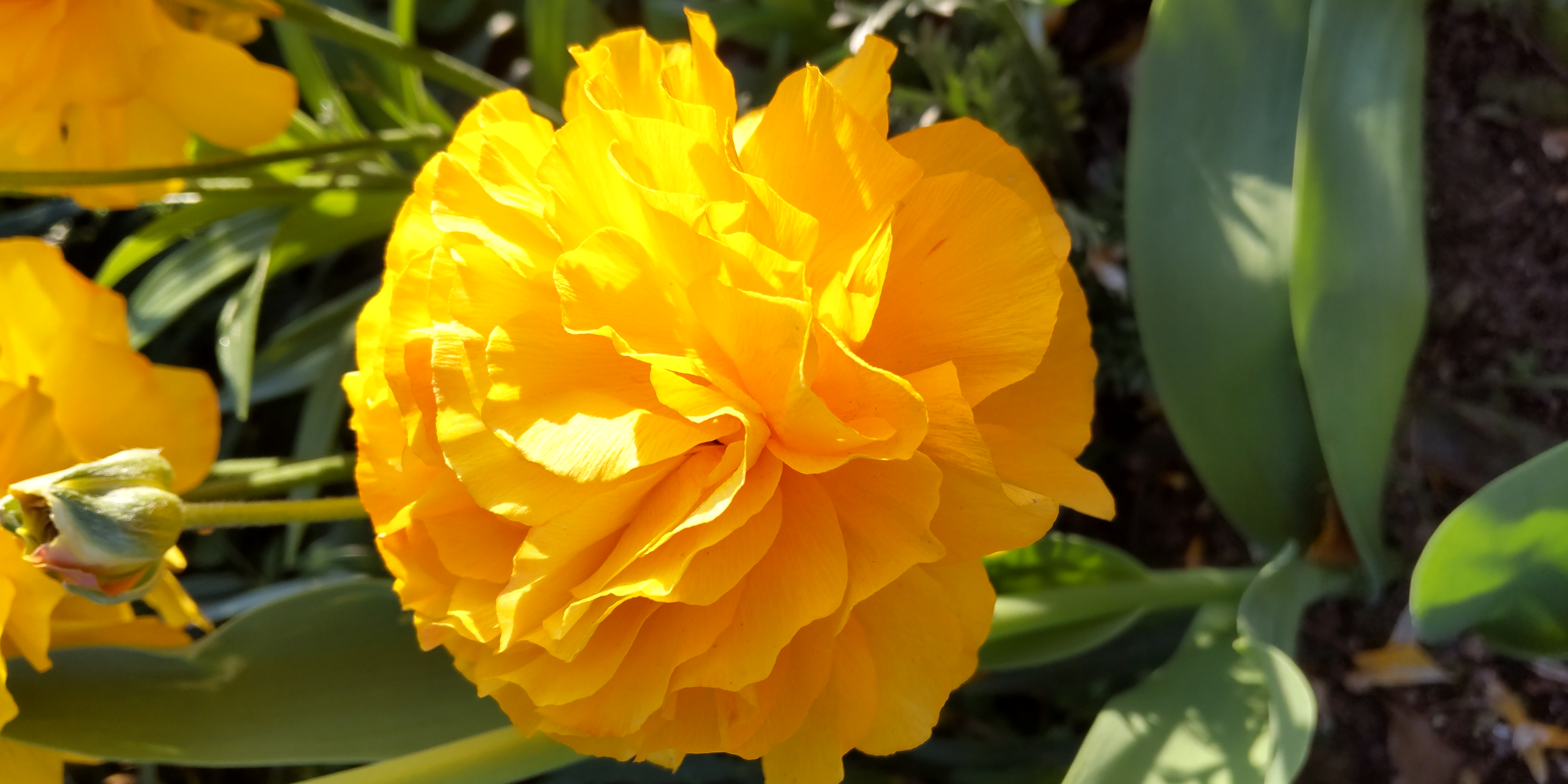 コスメ大好きさん