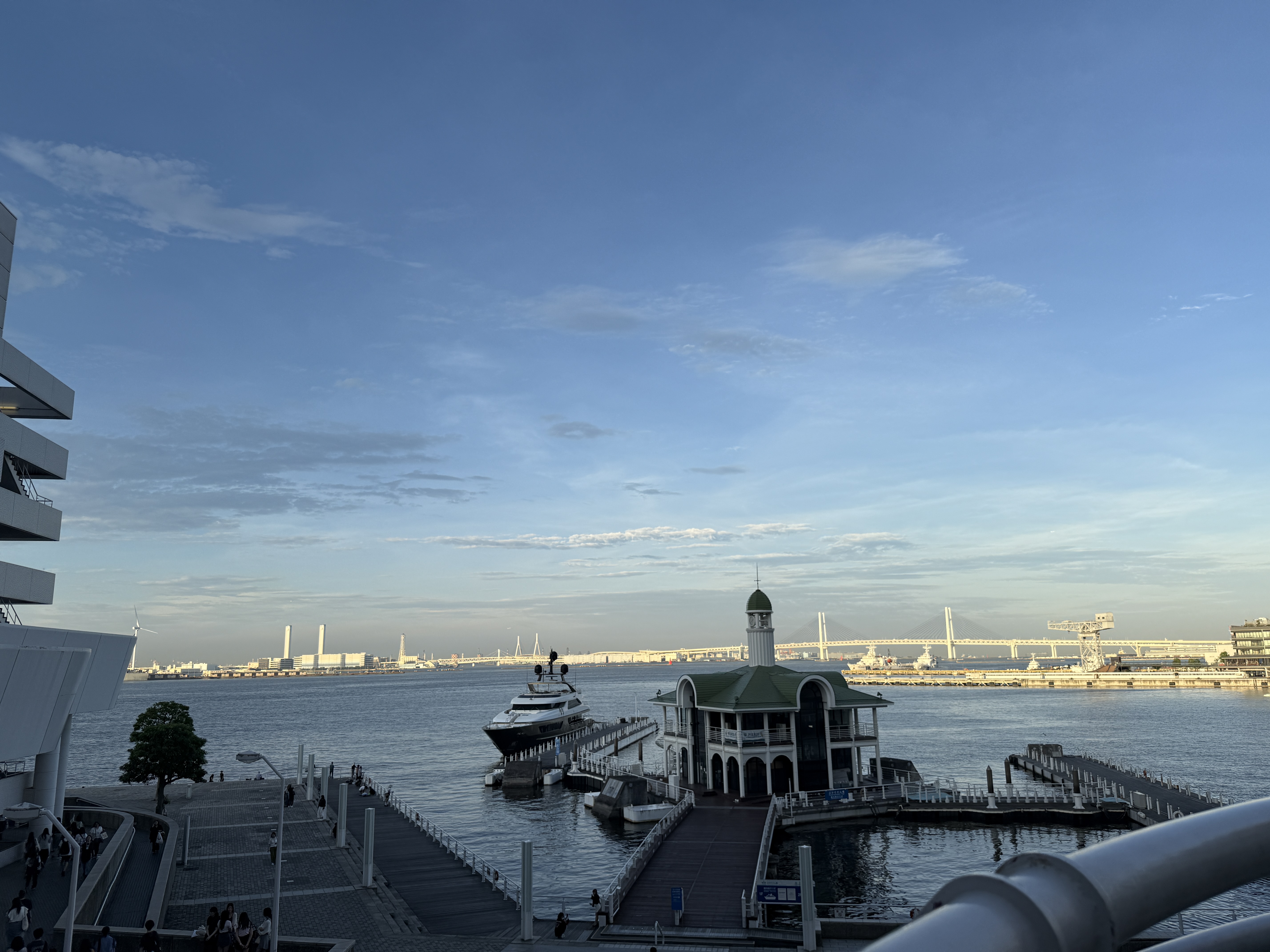 さくらんごたん🌸