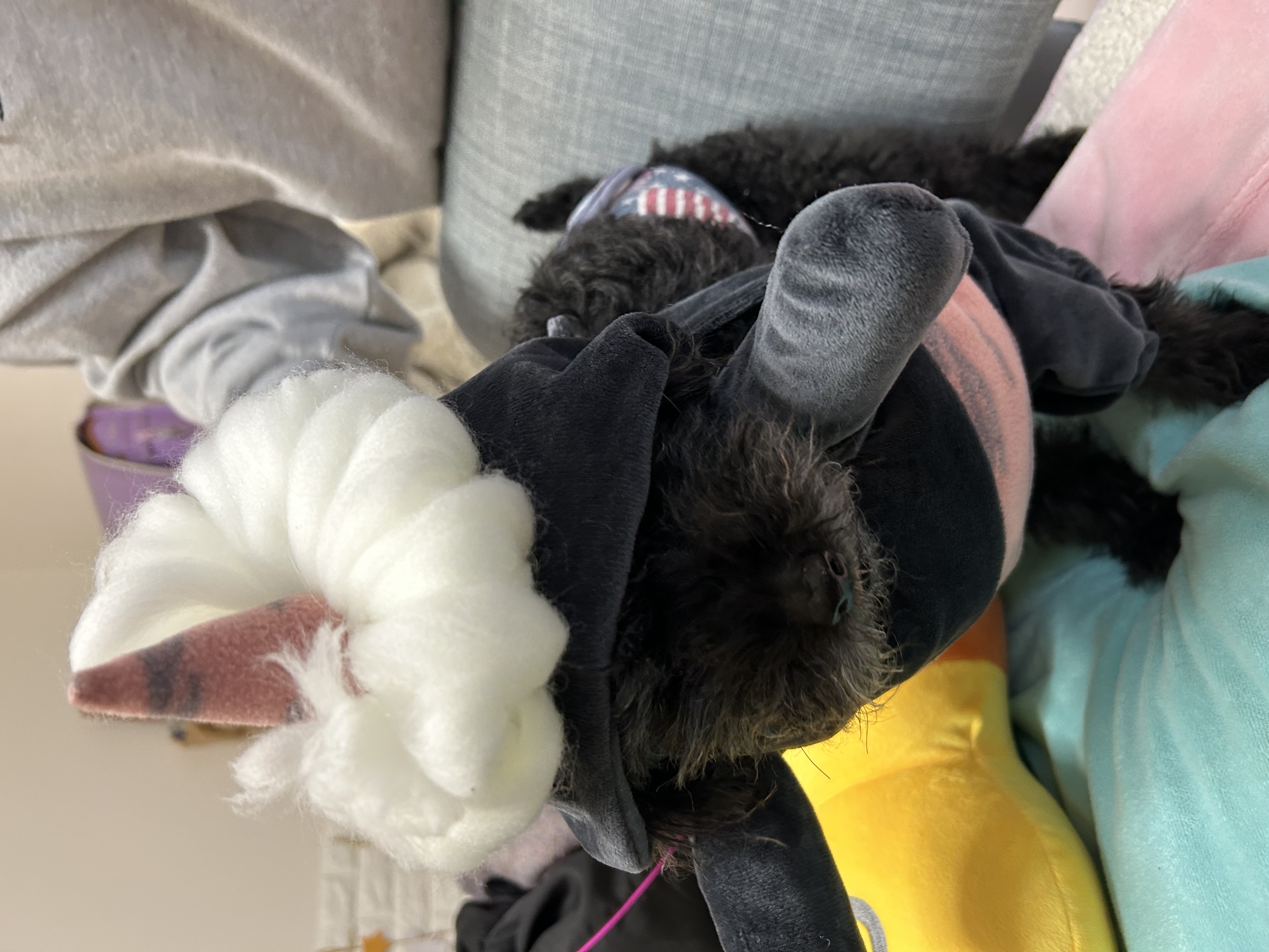 チョコと莉央❣️（💄コスメオタク💄）