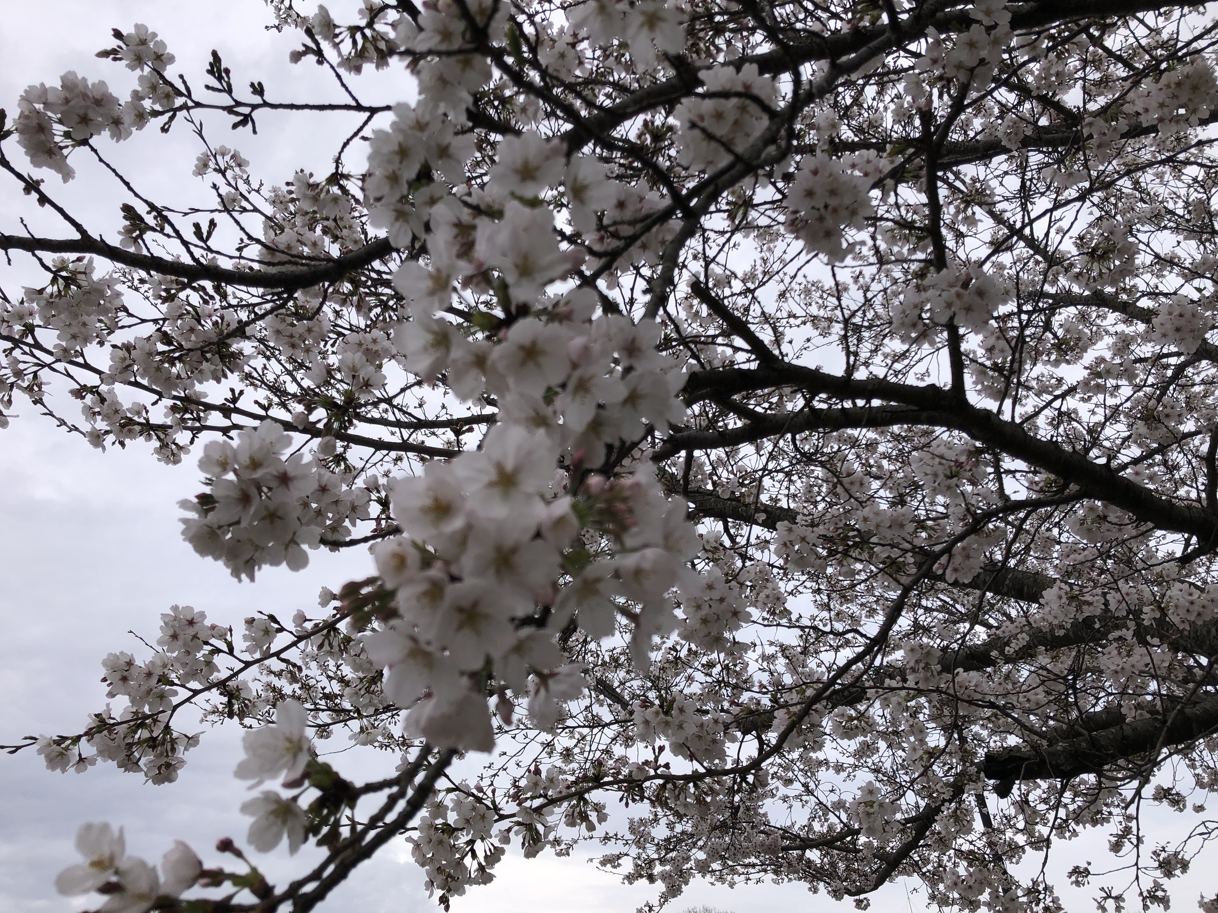 ゆずやでぇぇぇぇ！！！！