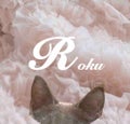 ろく🐾のコスメ備忘録
