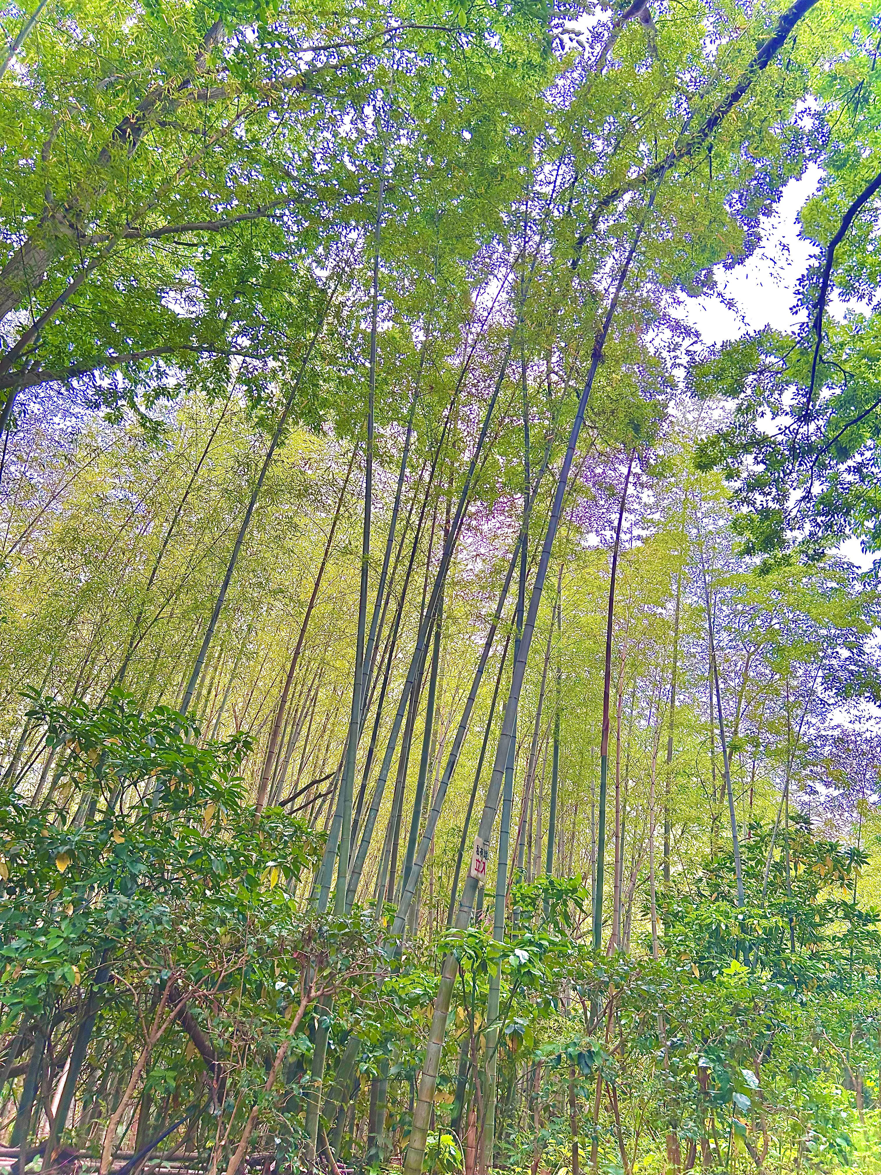 そら  フォロバしてます！