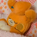 杏