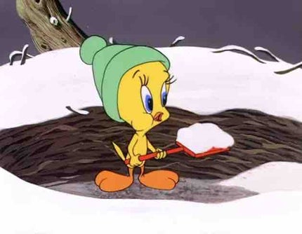 のわフォロバ100