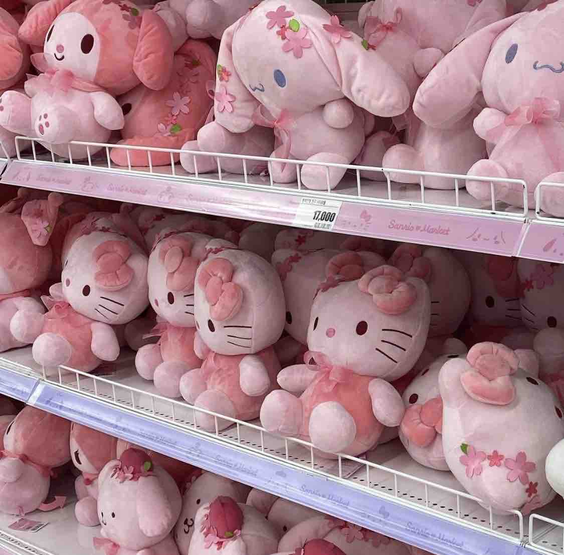 にゃん🐱フォロバ100