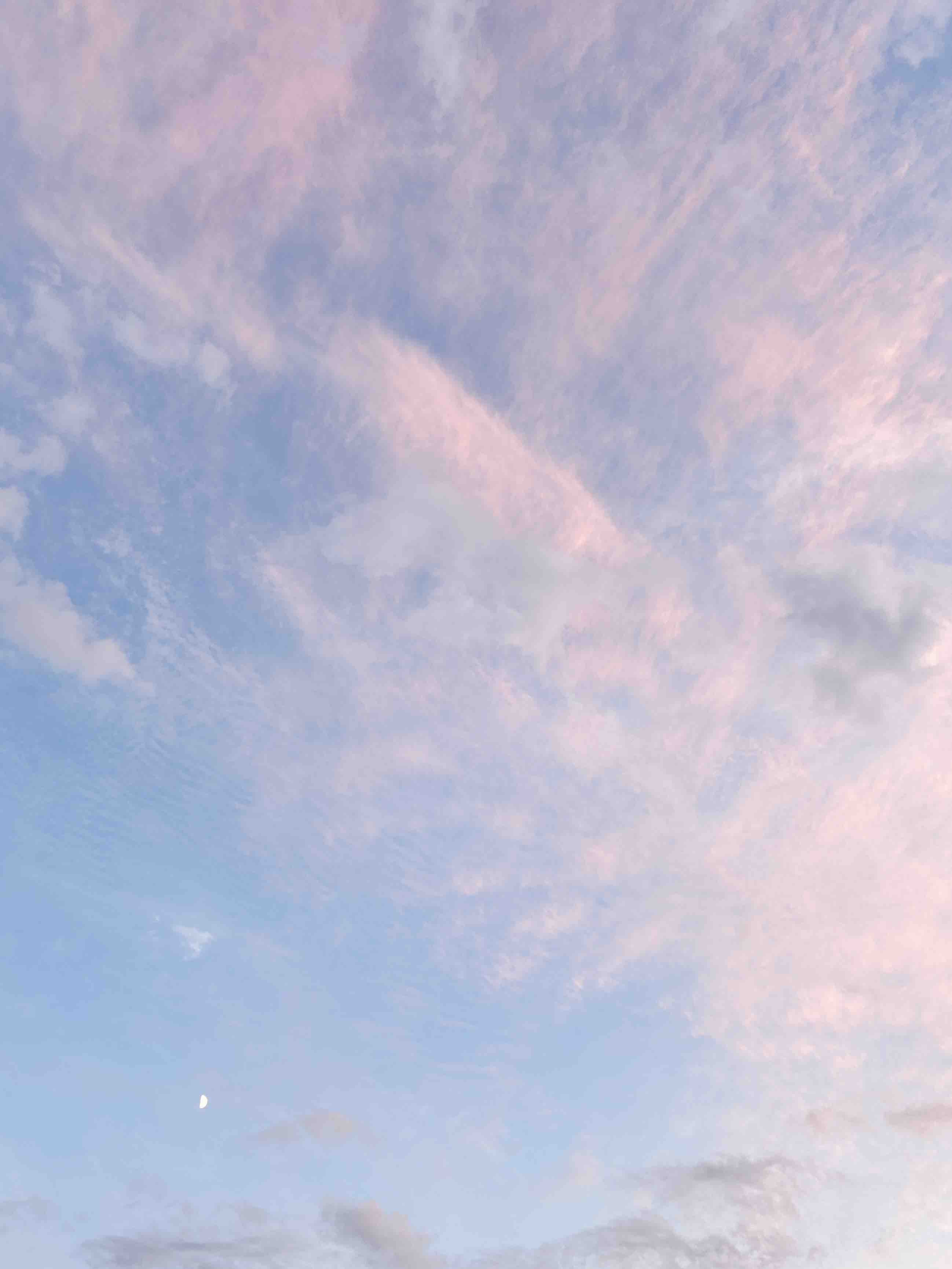 もん🍡フォロバします