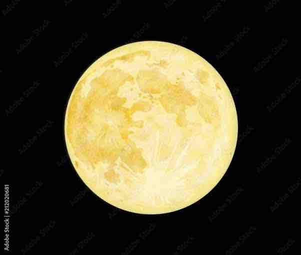 ꙳⋆·⸜⸜𝐇𝐚𝐫𝐮𝐤𝐚⸝⸝·⋆꙳