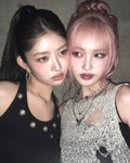 ネコ