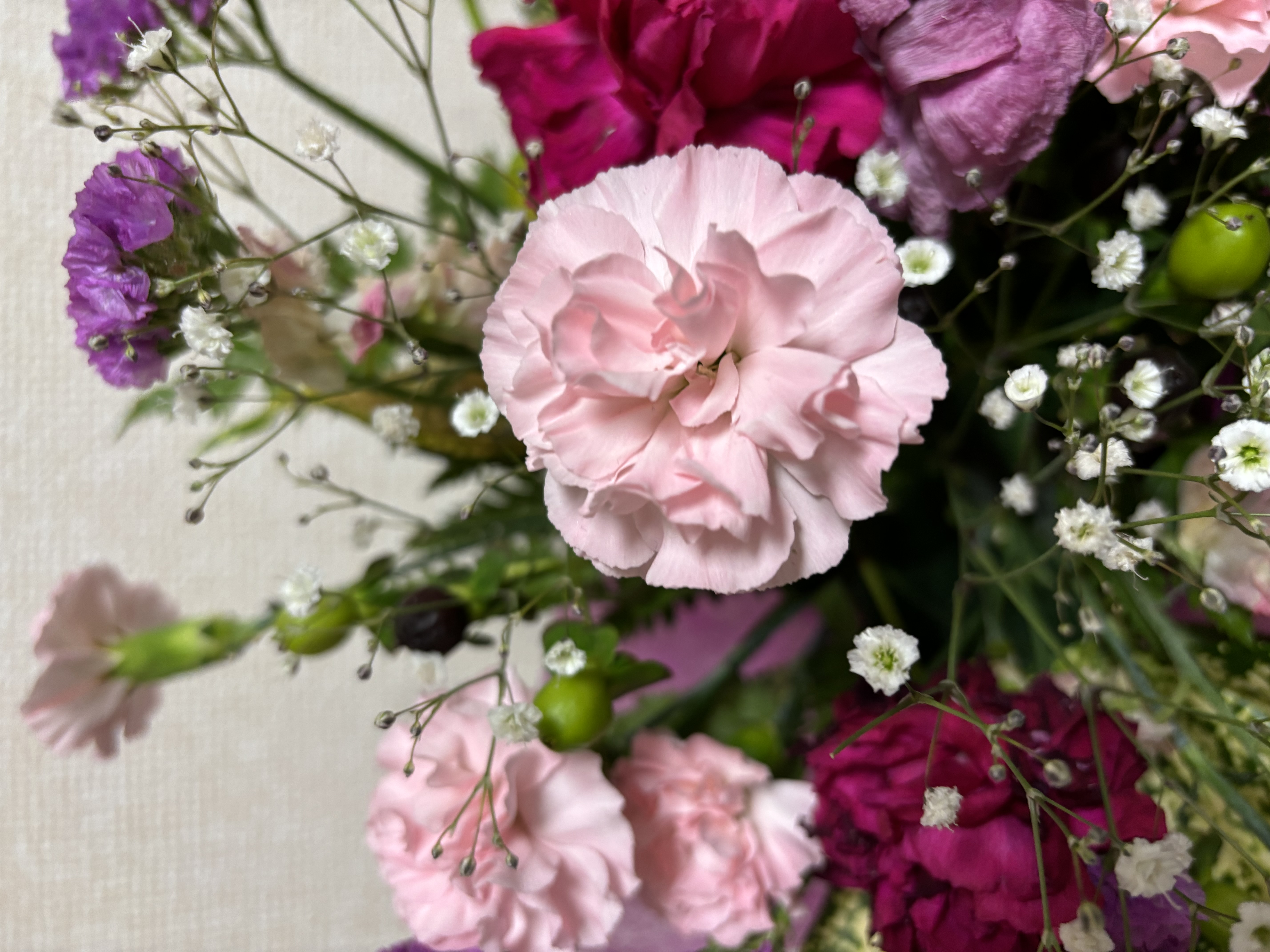 ねば子ちゃん@フォロバ100