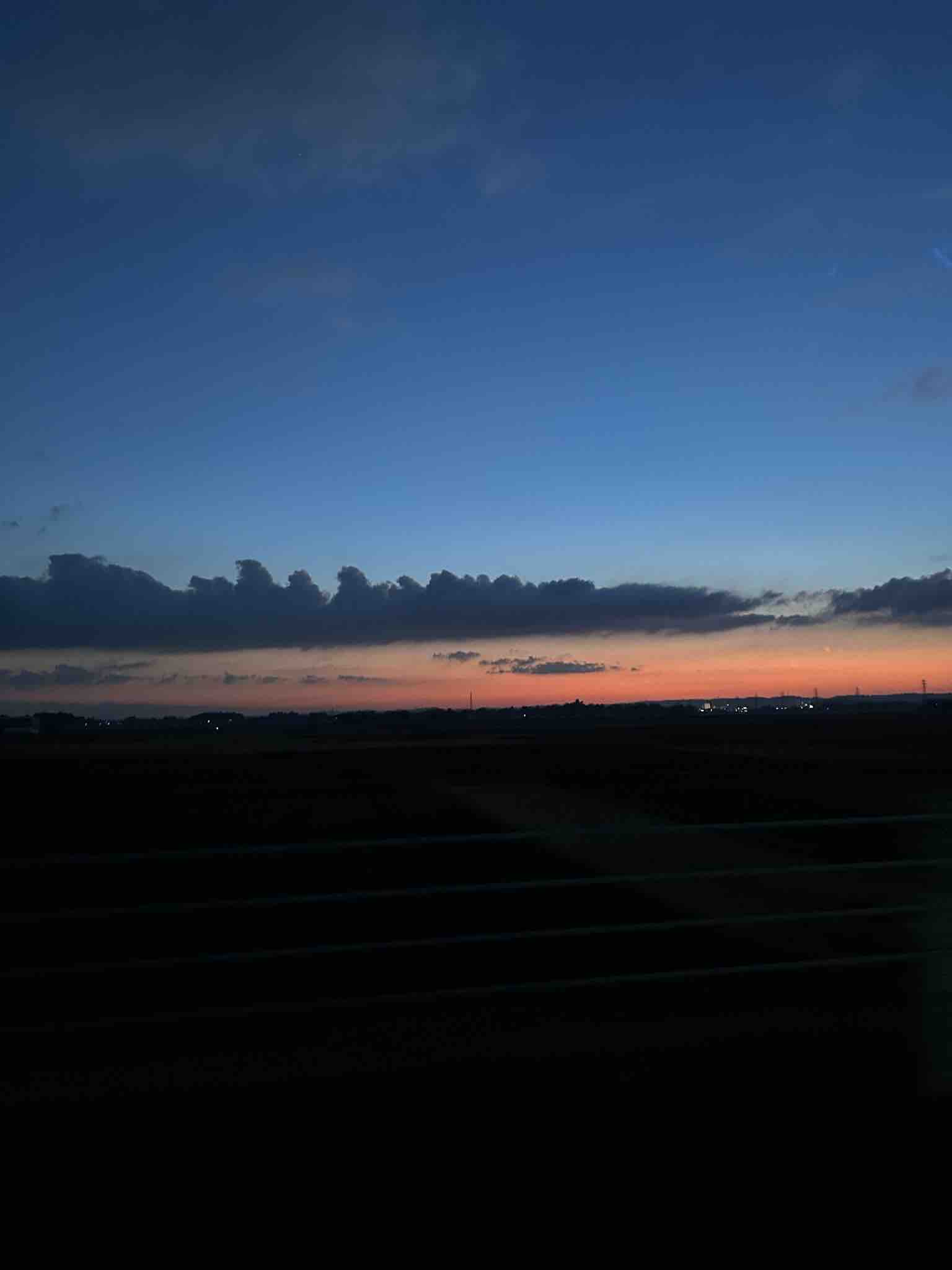 ミトコンドリア