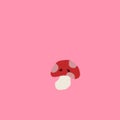 きのこ🍄フォロバ100