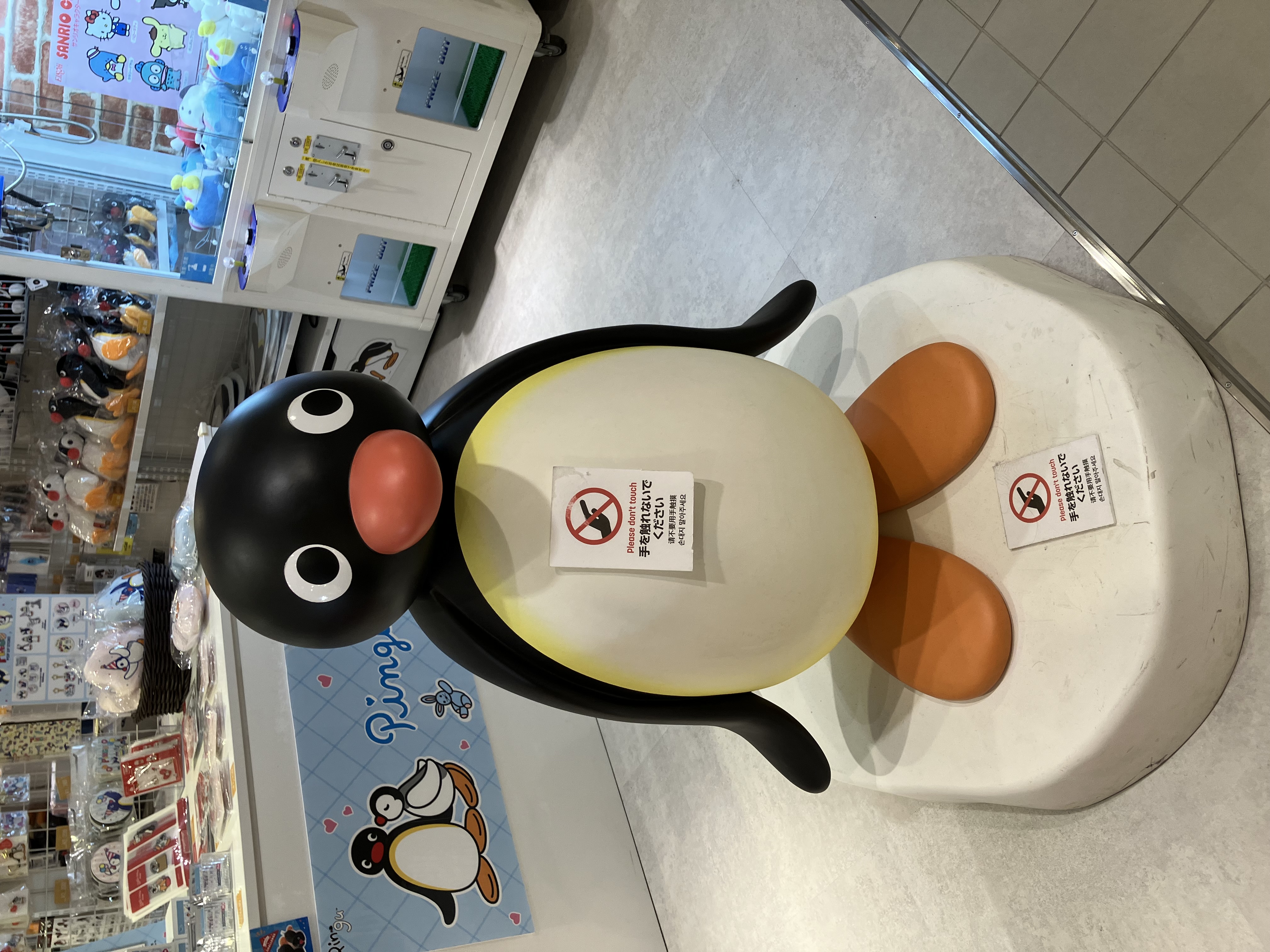 ウィジャシャーク見た方がいい