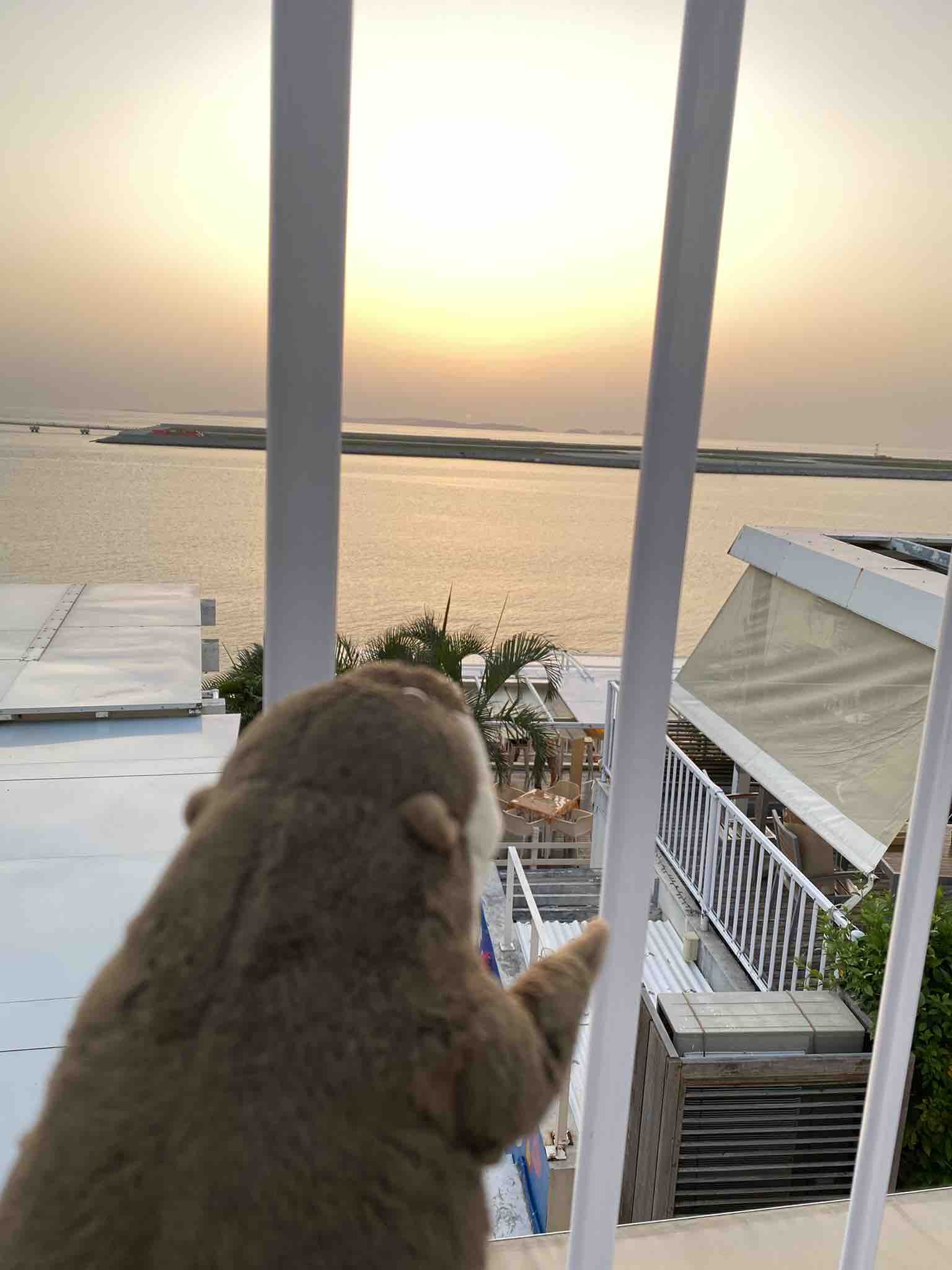 はっちゃん💕フォロバ🫶