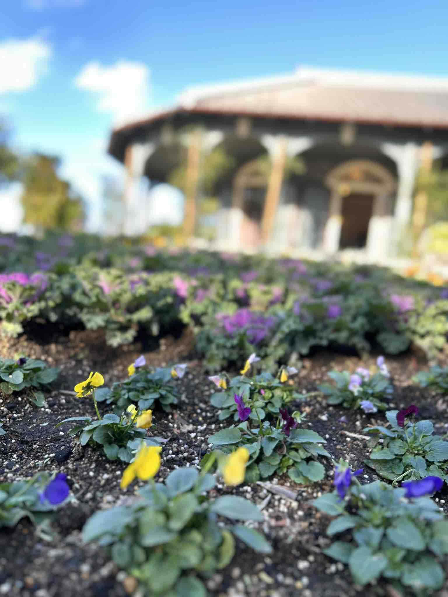 ゆき　フォロバ100　　