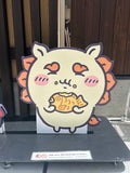 しーさー