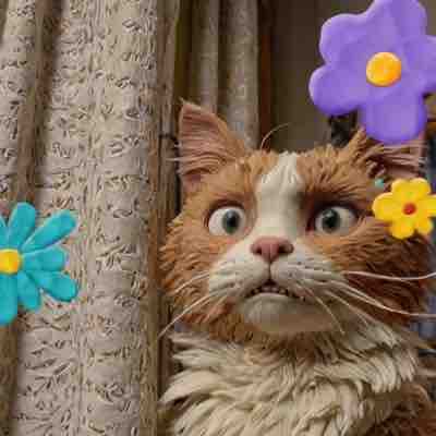 𝘔𝘢𝘺𝘶𝘳𝘪🌦@フォロバ