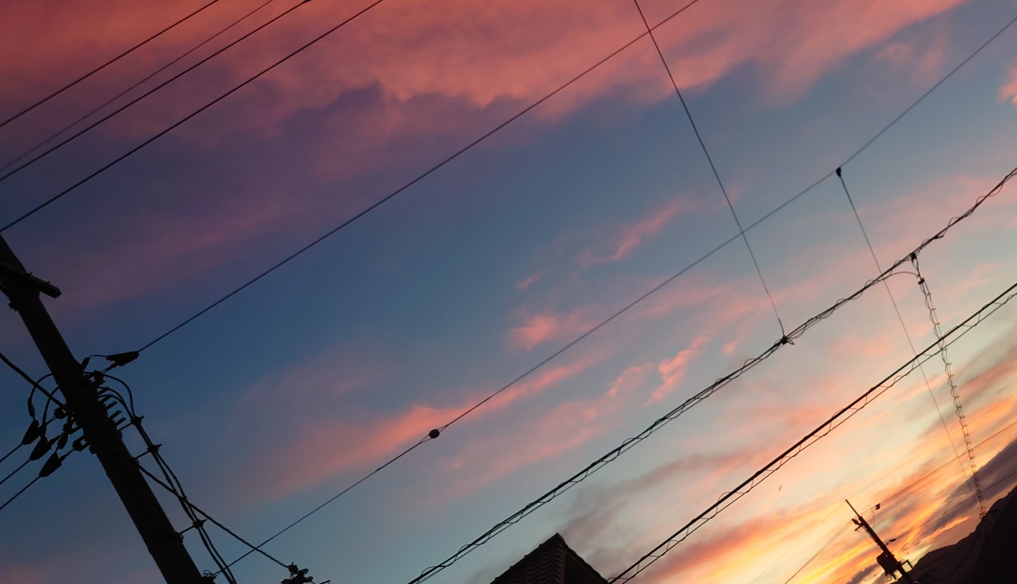 かにかまごはん