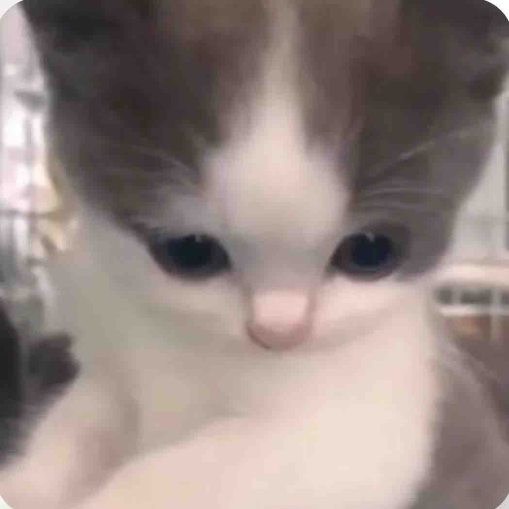 𝓜 フォロバ100