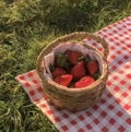 いちごアレルギー🍓🤧