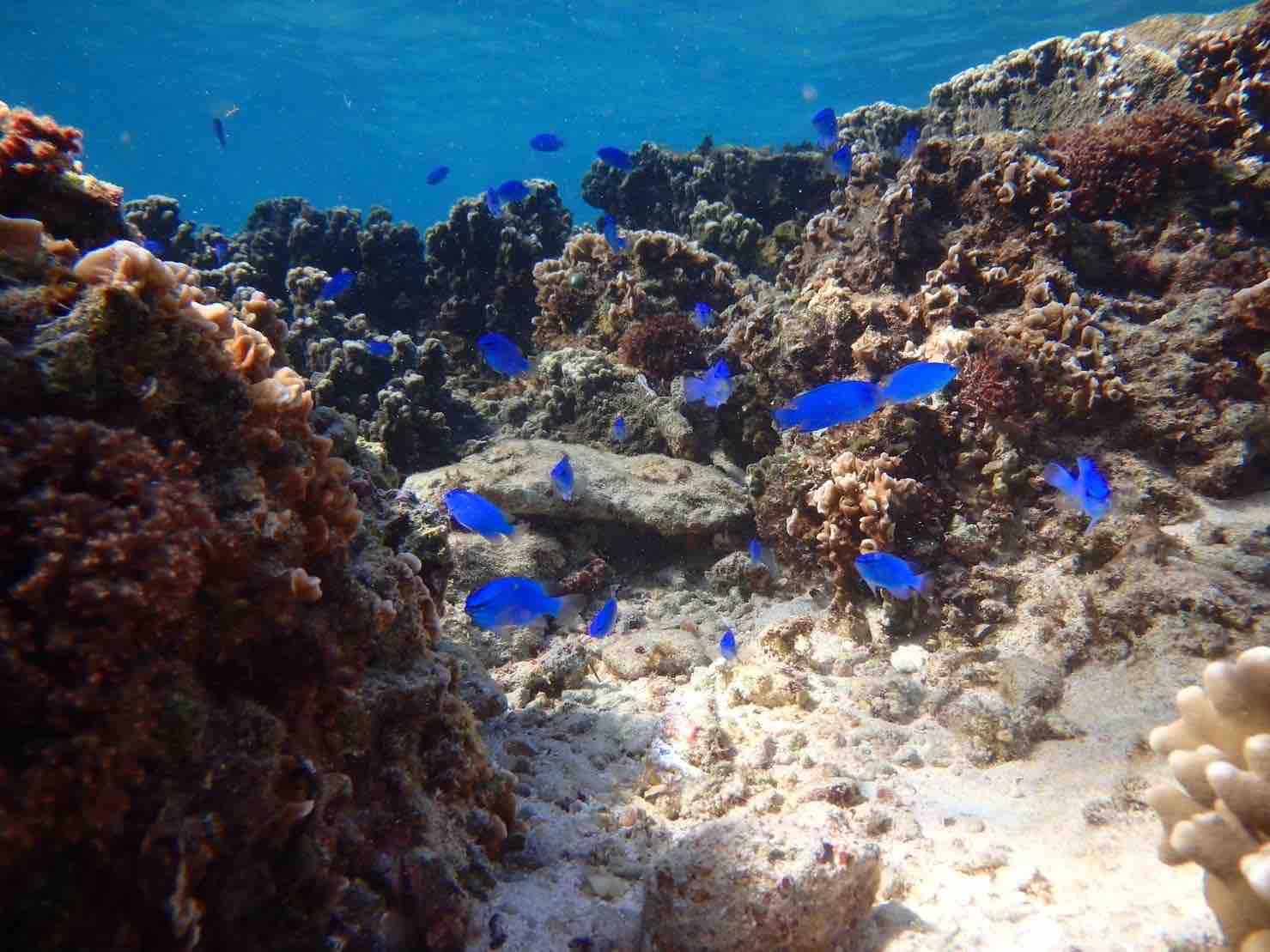 ☁️ろこもこ☁️ﾌｫﾛﾊﾞ