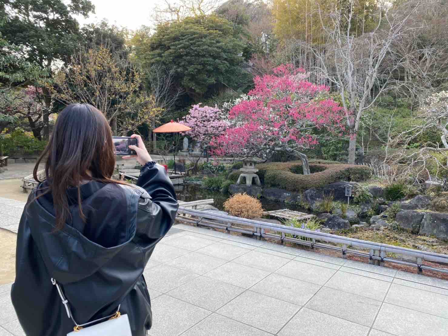 𝘮𝘢𝘬𝘰𝘵𝘰