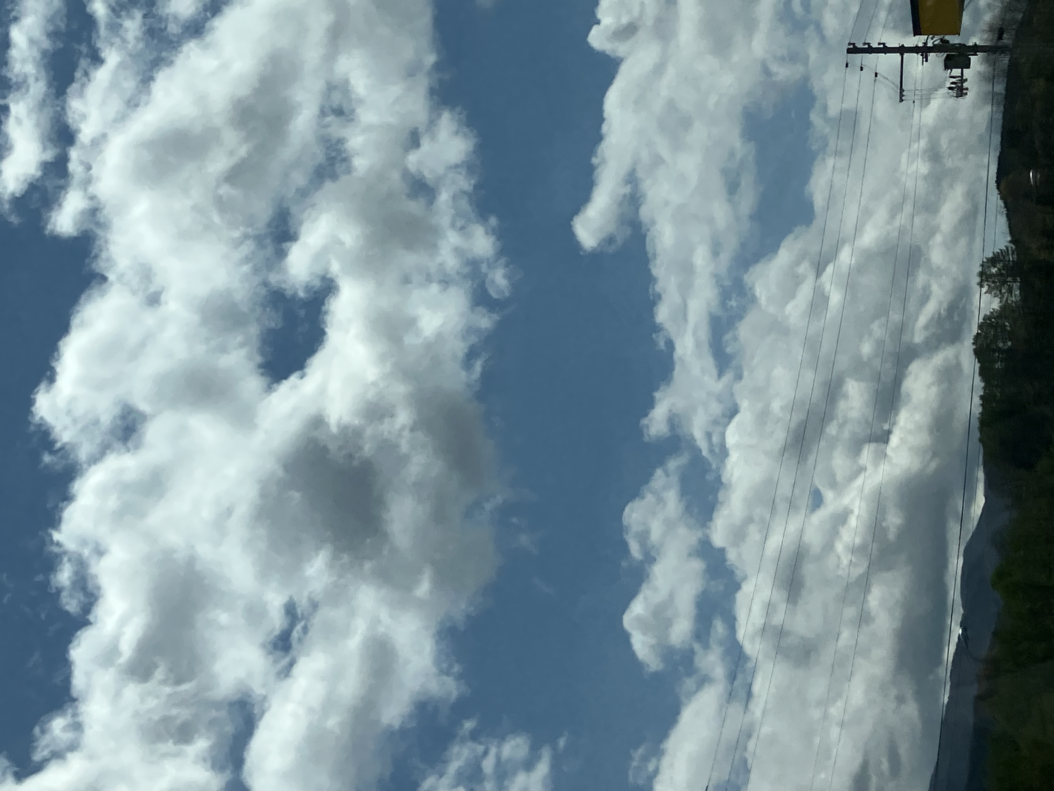 ℕ𝕚ℕ𝕒‪🐹 フォロバ💯👍🏻