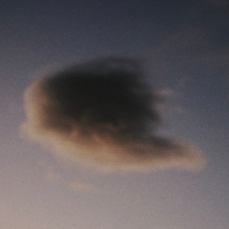 sunflower❤︎フォロバ