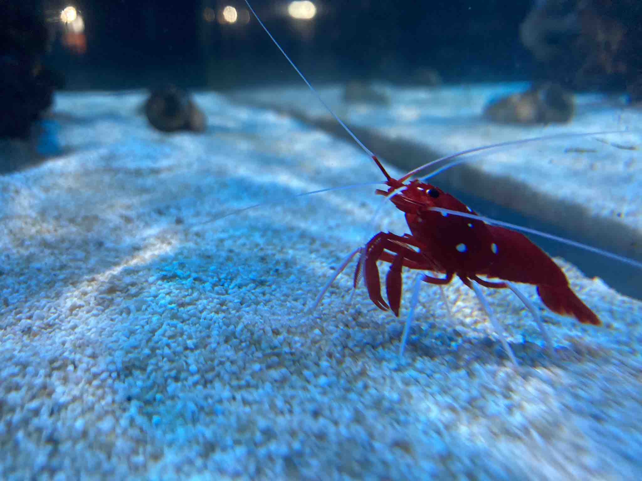 肌荒れ気になる😭