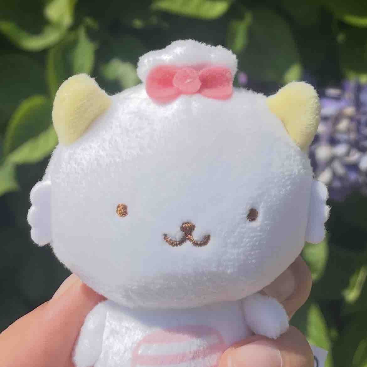 てぃらみす🤍フォロバ