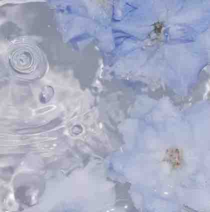 🐈‍⬛𝒂𝒐☽⋰