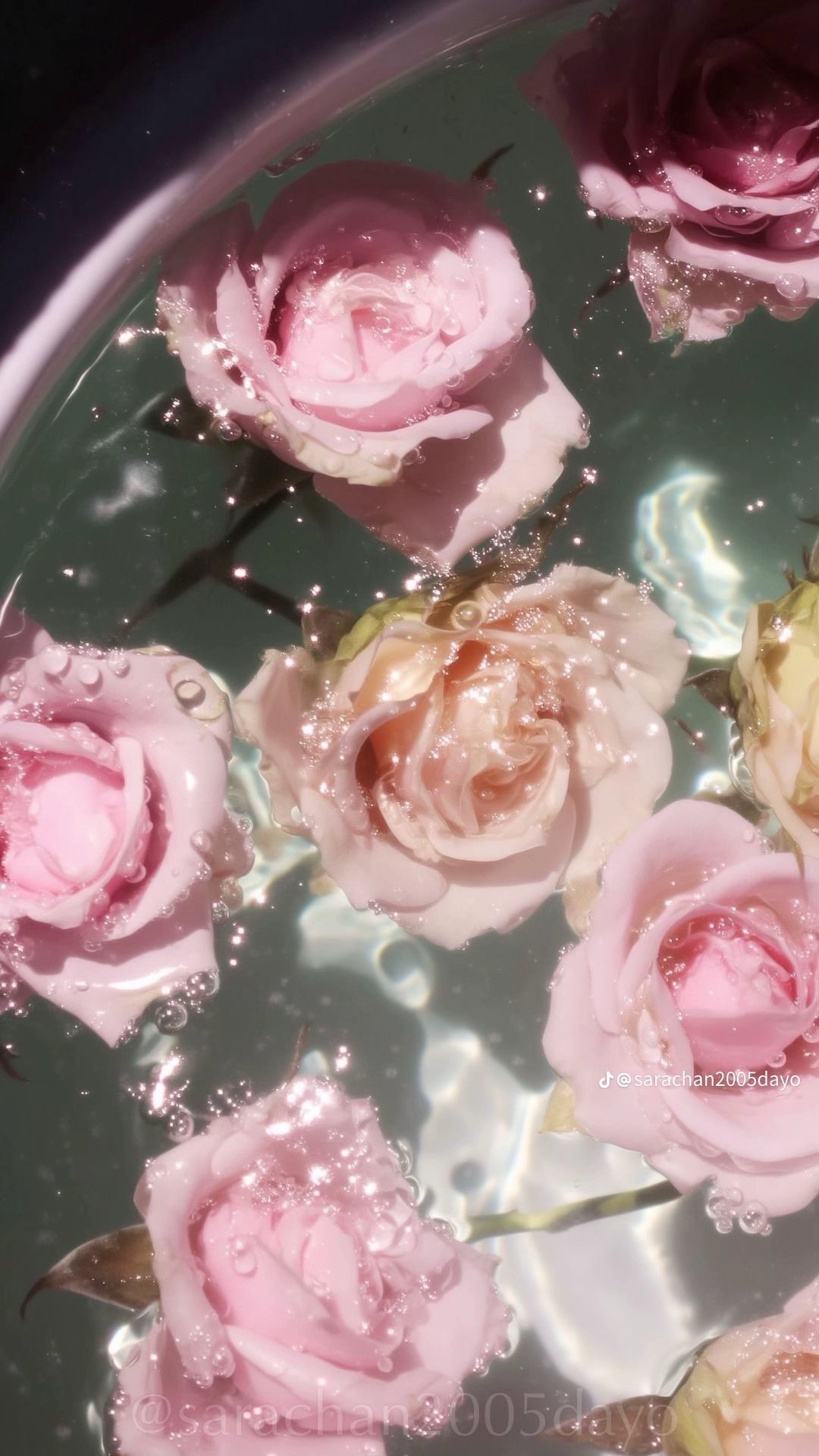 😽🎀ℍ𝕚𝕟𝕒𝕟𝕠🕶︎💕