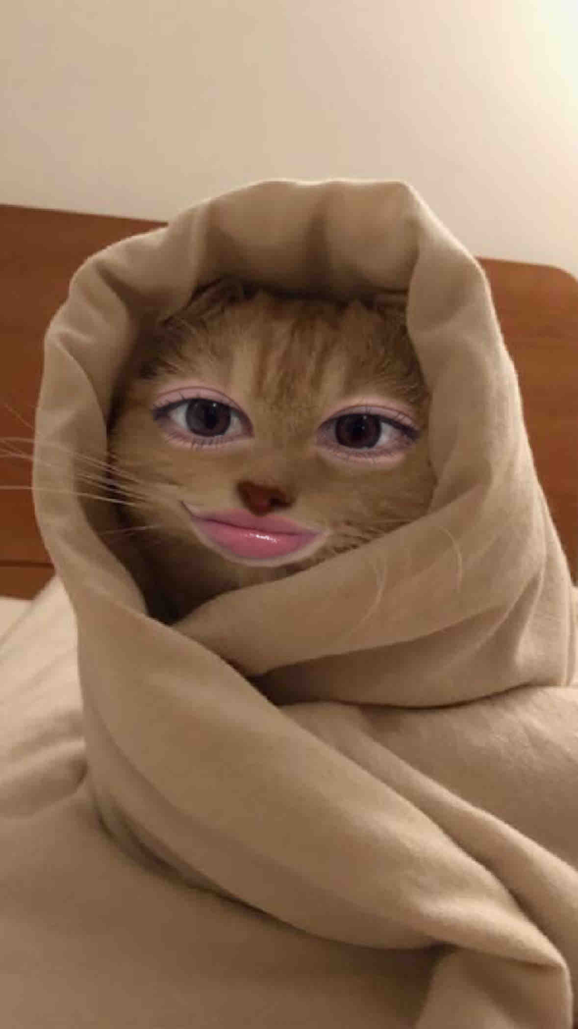 あたくん🫠フォロバ   