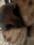 みとぅ