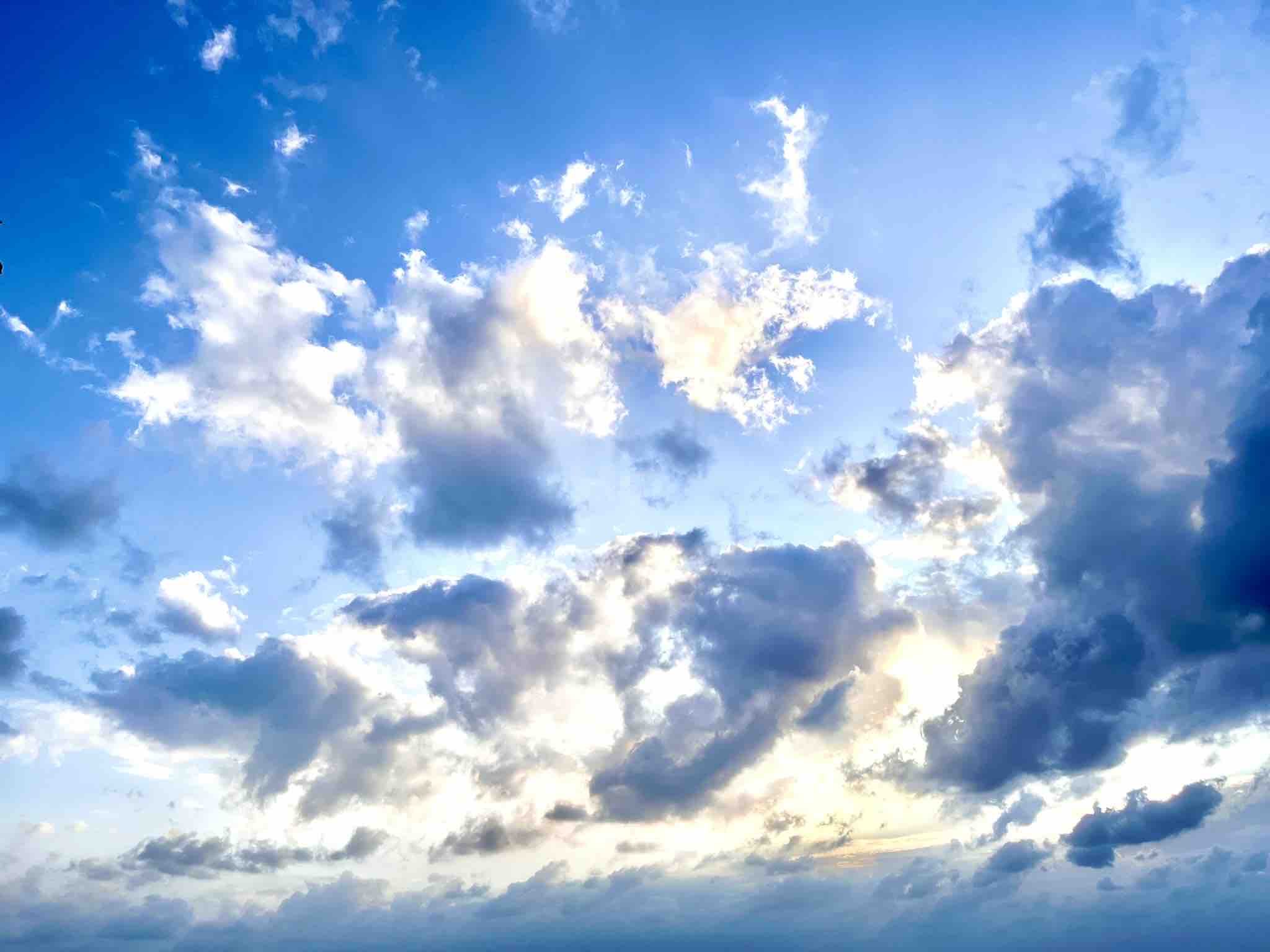 りゅりゅしゃん